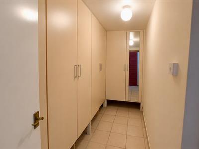 Picture 30